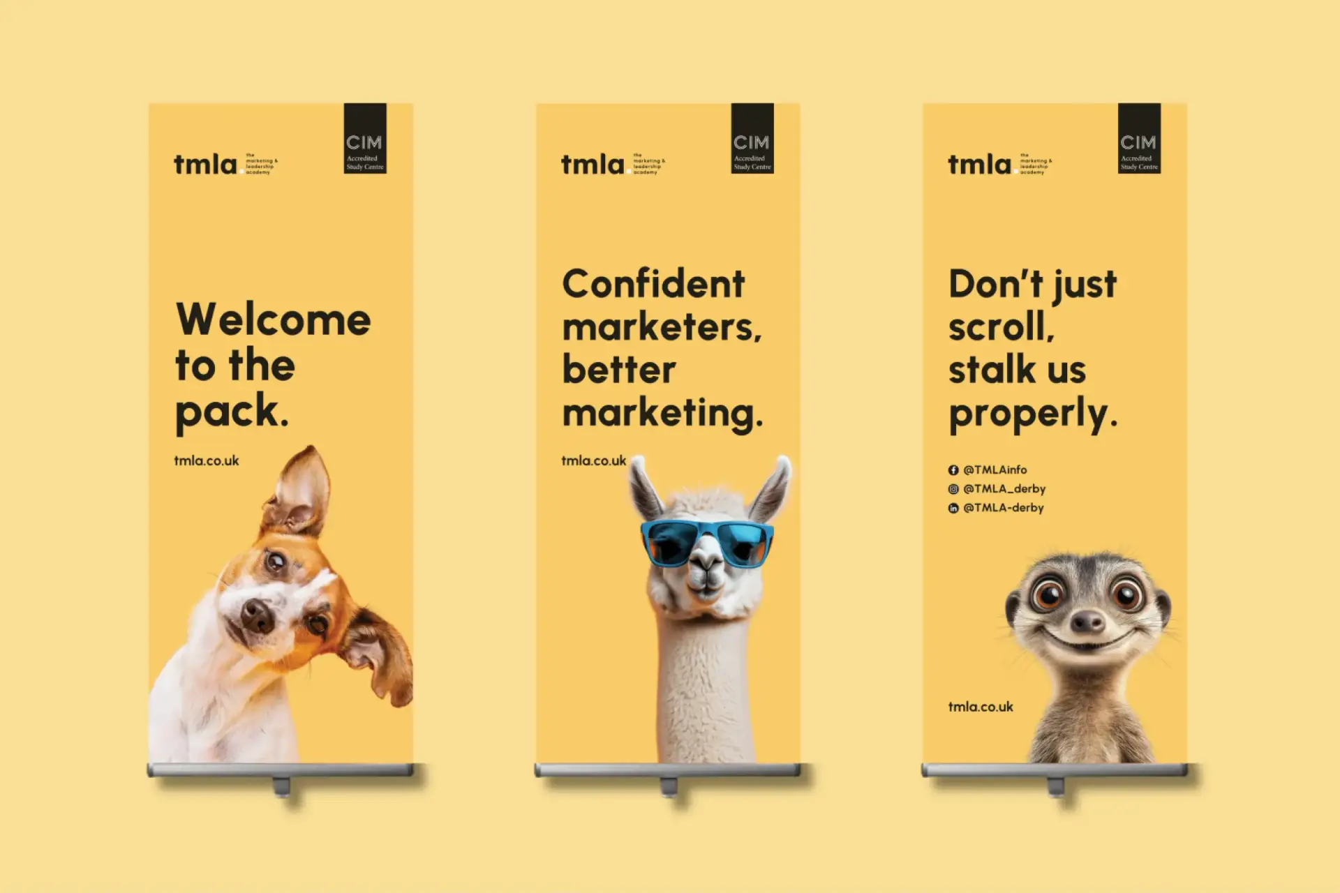 education brand strategy